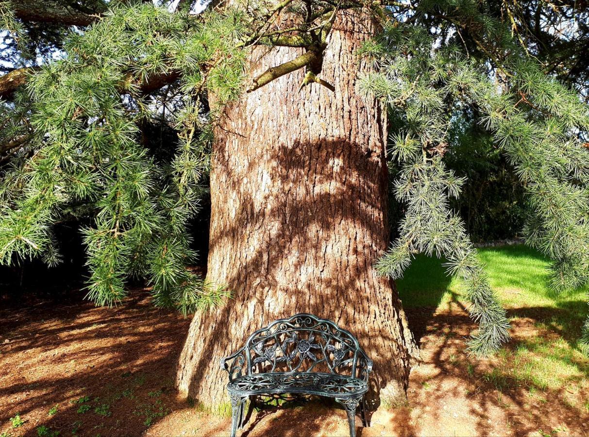 Domaine De Garat Bed & Breakfast Floirac  Bagian luar foto