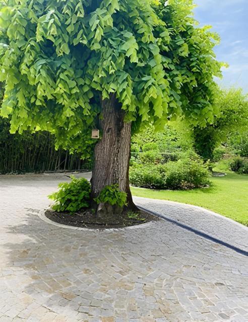 Domaine De Garat Bed & Breakfast Floirac  Bagian luar foto